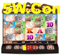 IIibet: Seu Especialista em Apostas Esportivas Brasileiras